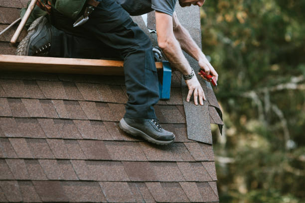 Professional Roofing Contractor in Pinconning, MI